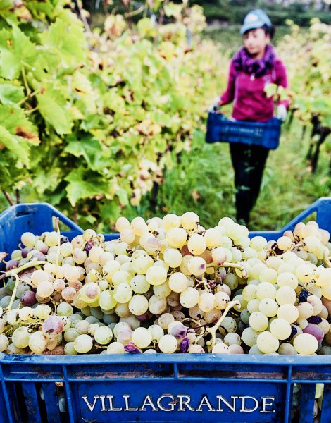 Milo (CT). Azienda Vinicola Barone di Villagrande